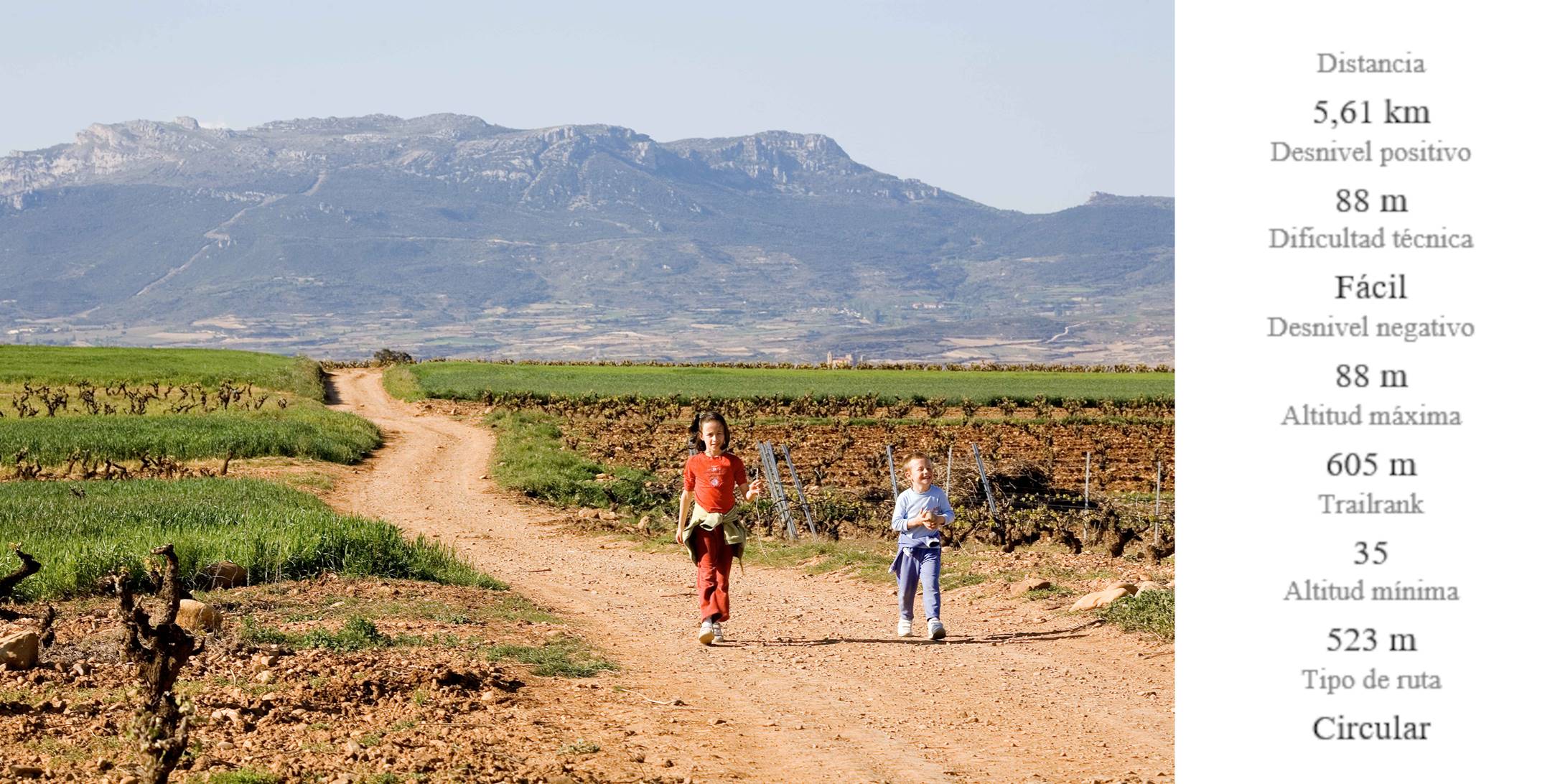 SENDERO DEL VINO: EL PRADO